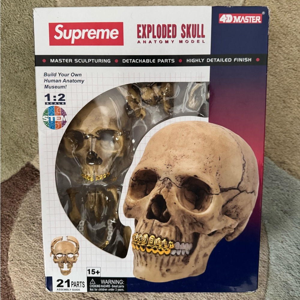 supreme 4D human anatomy exploded skull